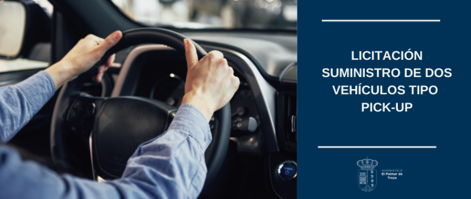 LICITACIONES VEHICULOS PICK UP