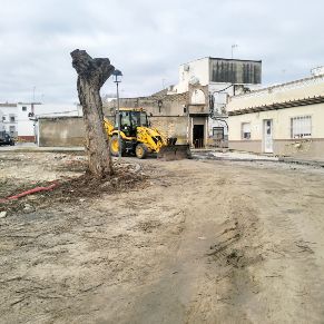 IMG20260217102821