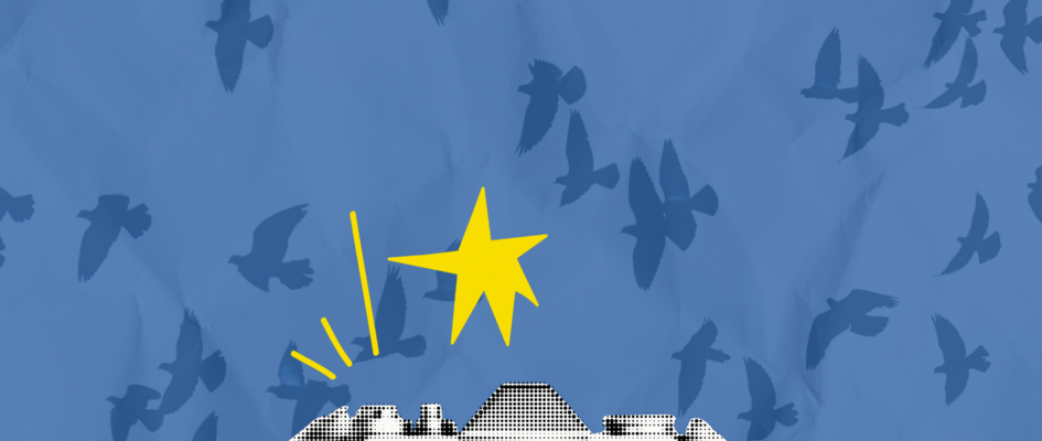 CONCURSO FOTOGRAFÍA