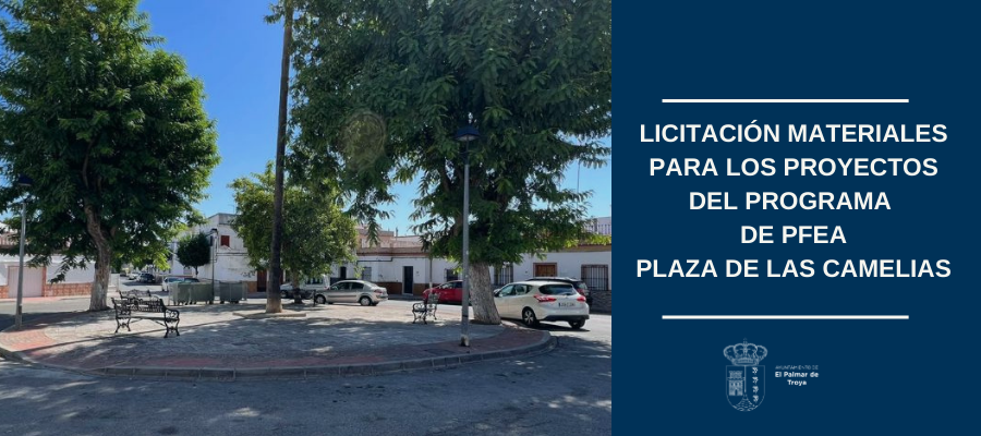 LICITACION MATERIALES PFEA